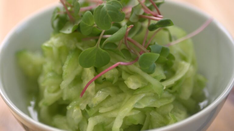 Czech Cucumber Salad